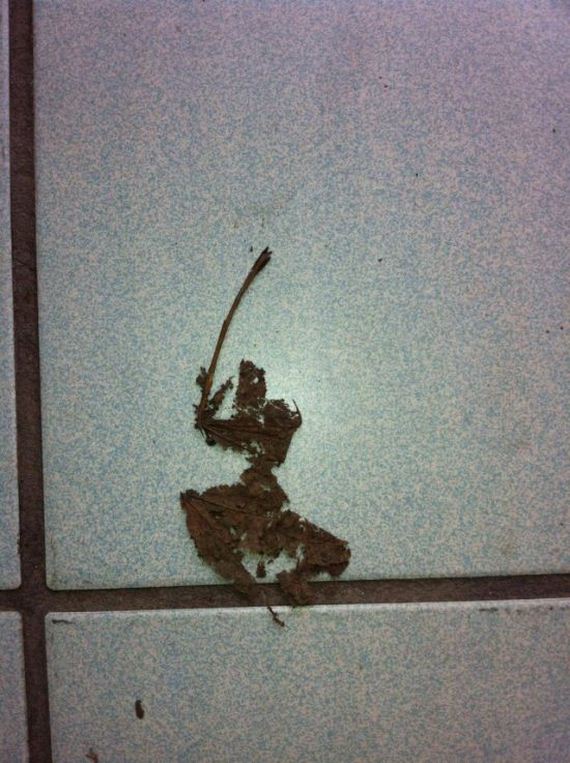 funny-pictures-437