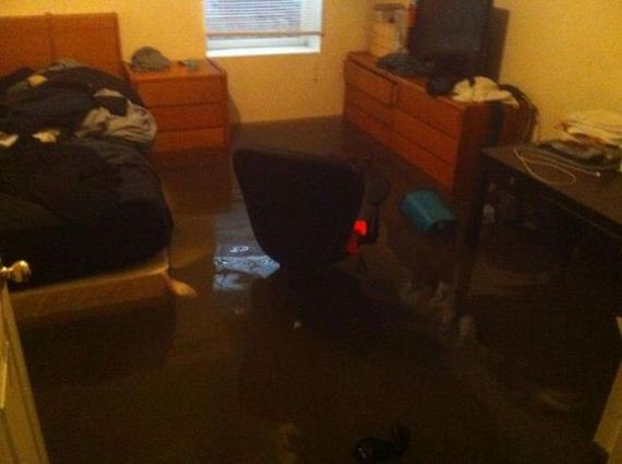 funny-pictures-438