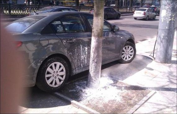 funny-pictures-438