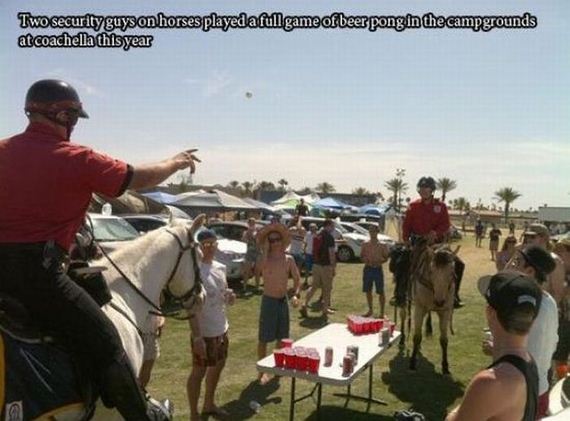 funny-pictures-438