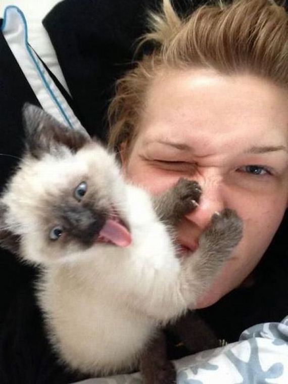 funny-pictures-438
