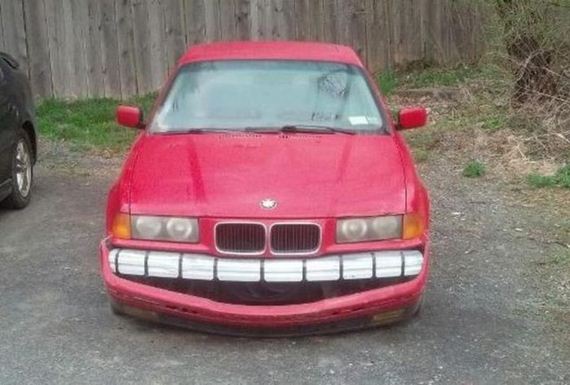 funny-pictures-438