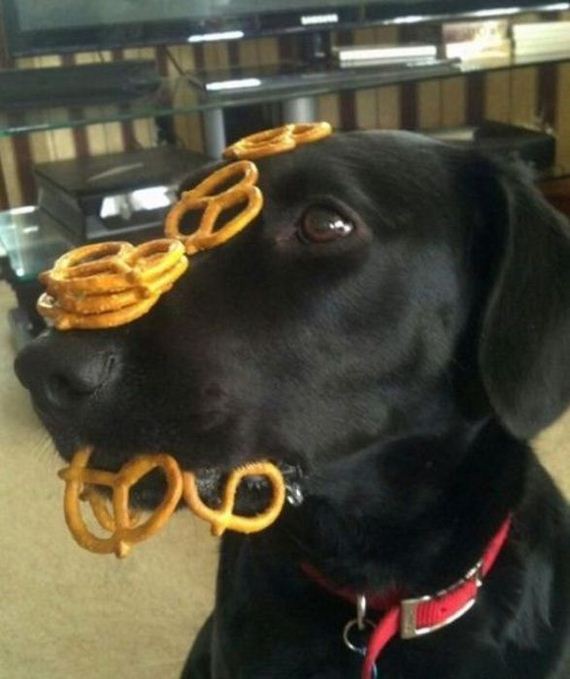 funny-pictures-440
