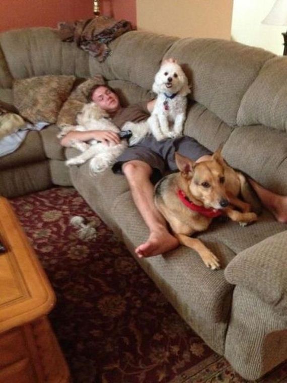 funny-pictures-440