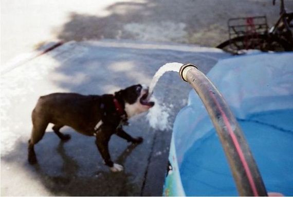 funny-pictures-440
