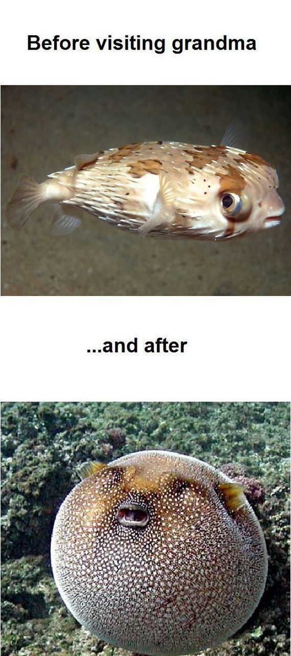 funny-pictures-440