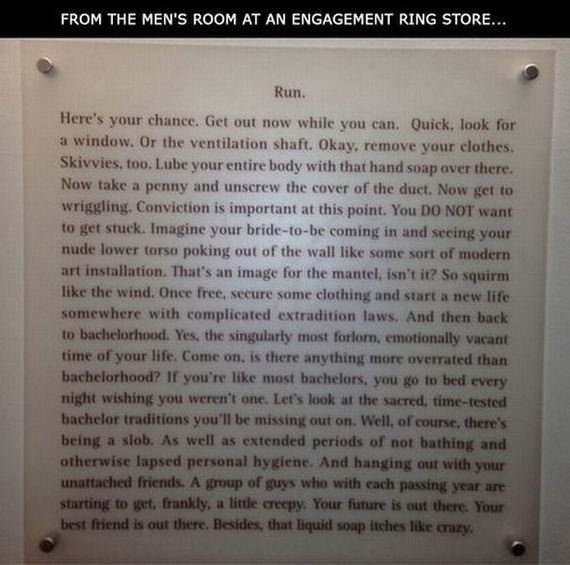 funny-pictures-441