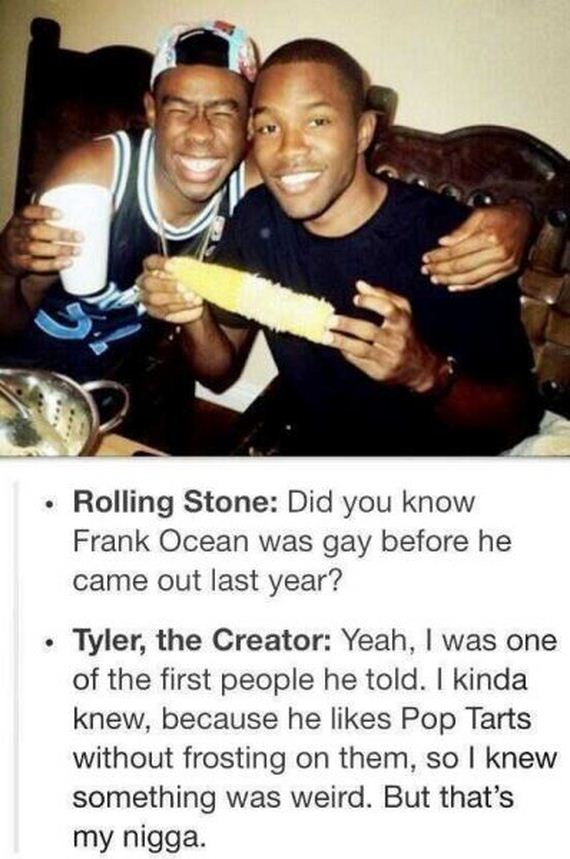 funny-pictures-441