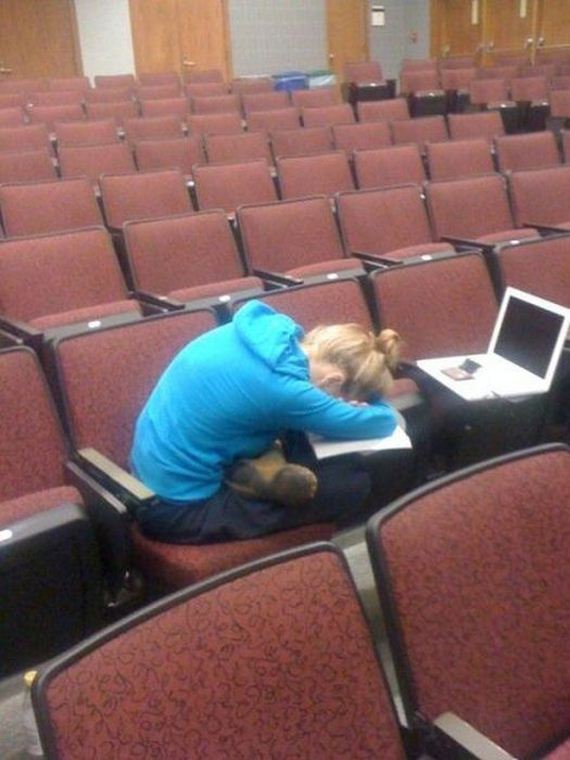 funny-pictures-441