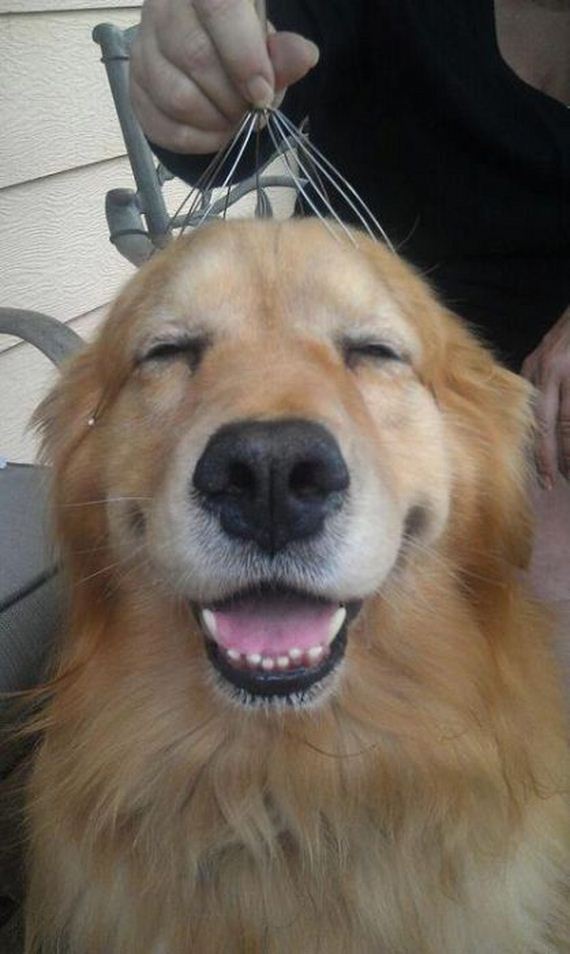 funny-pictures-441