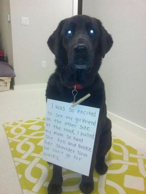 funny-pictures-441