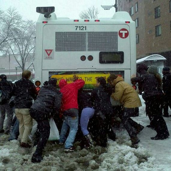 funny-pictures-442