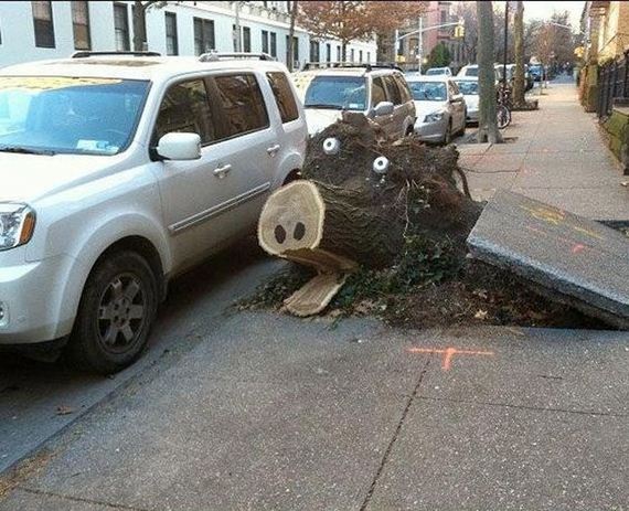 funny-pictures-442