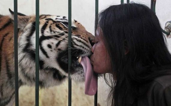 funny-pictures-442