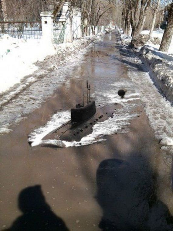 funny-pictures-442