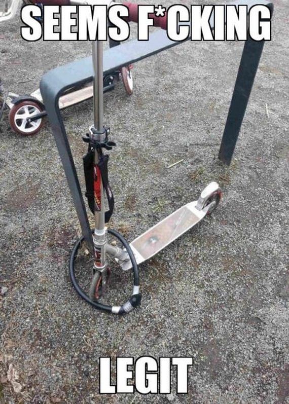 funny-pictures-442