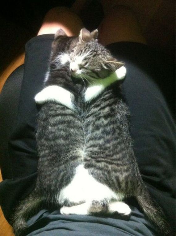 funny-pictures-442