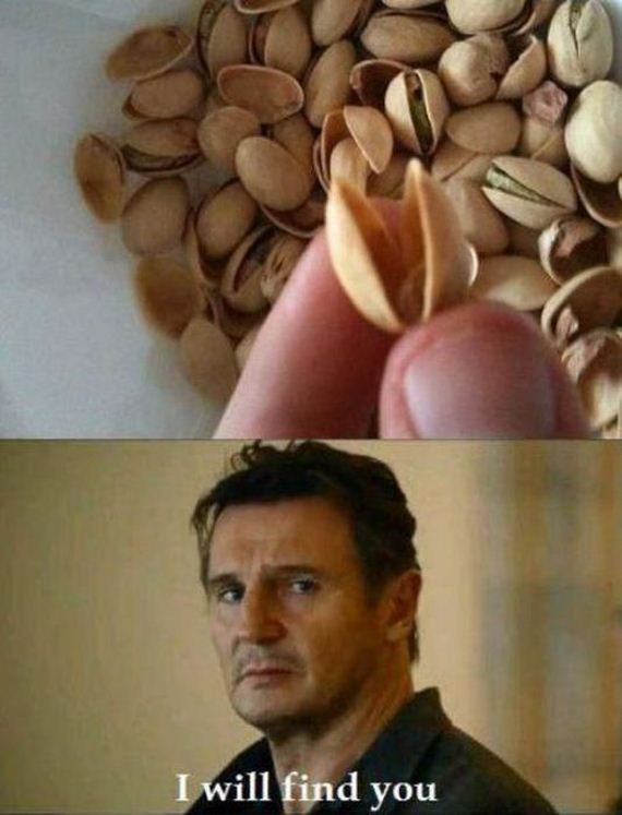 funny-pictures-443