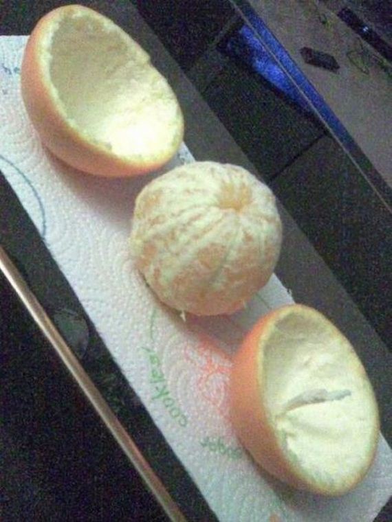funny-pictures-443