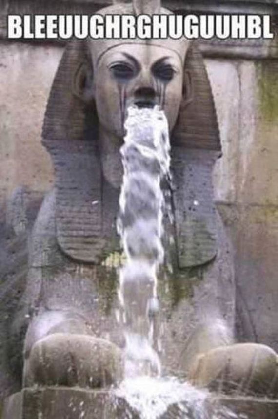 funny-pictures-443
