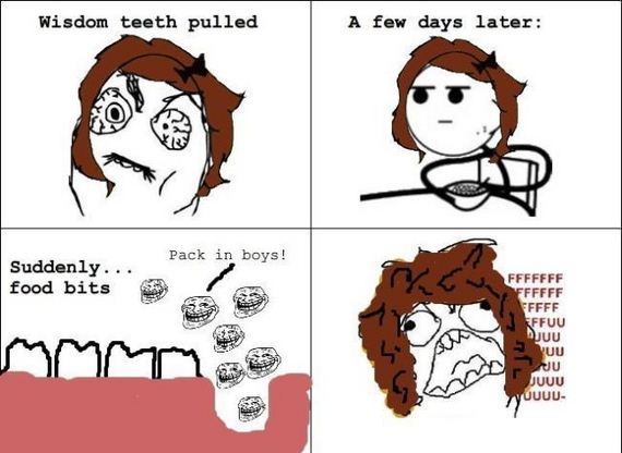 funny-pictures-443