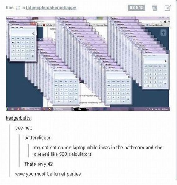 funny-pictures-443