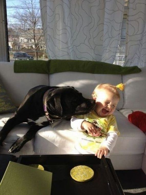 funny-pictures-443