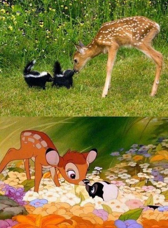 funny-pictures-443