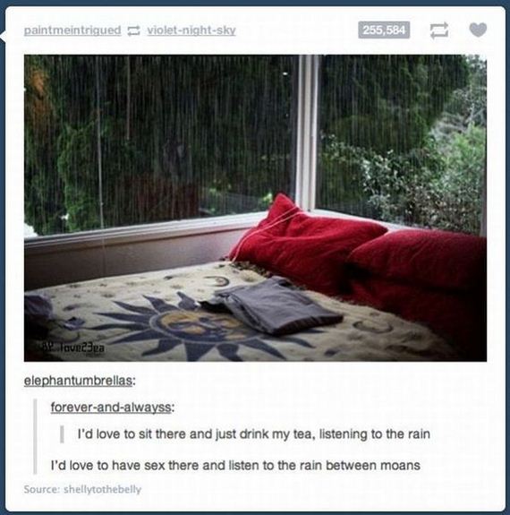 funny-pictures-443