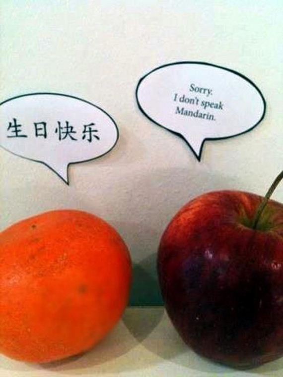 funny-pictures-444