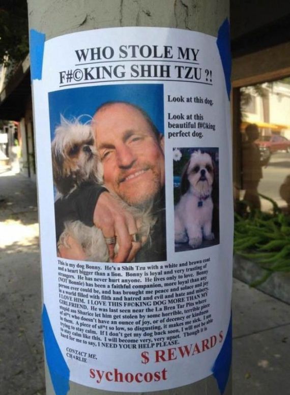 funny-pictures-444