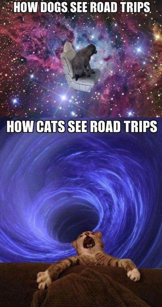 funny-pictures-444