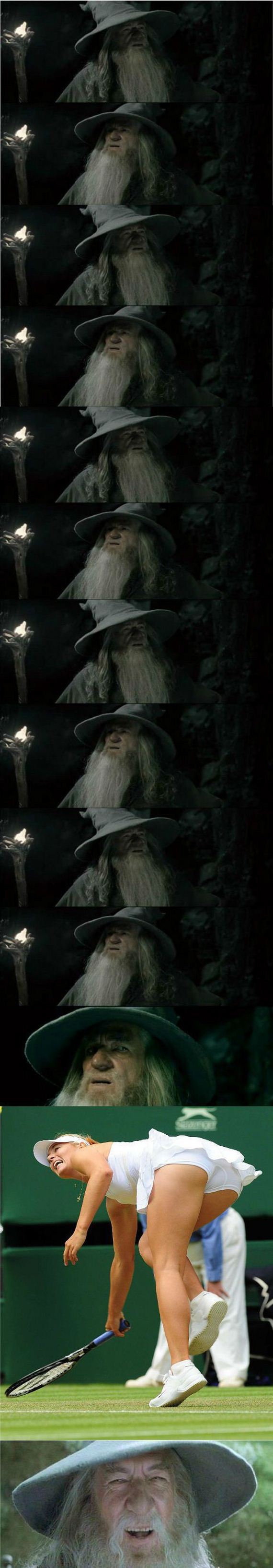 funny-pictures-444