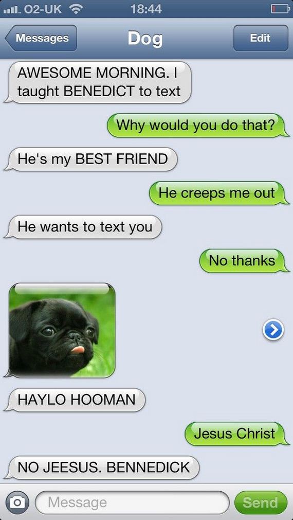funny-pictures-444