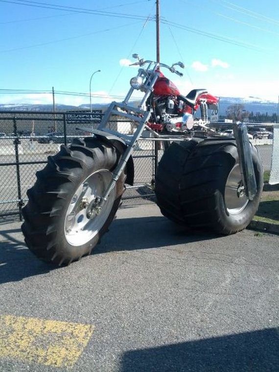 funny-pictures-444