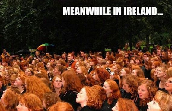 funny-pictures-444