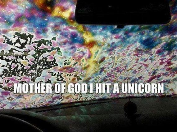 funny-pictures-444