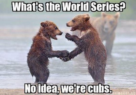 funny-pictures-446