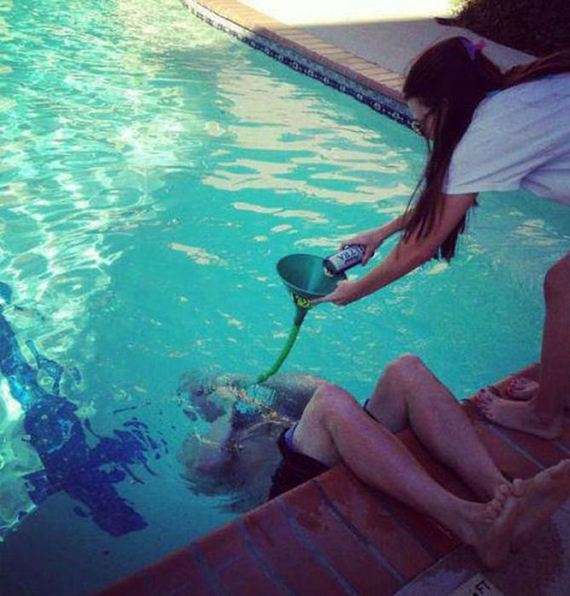 funny-pictures-447