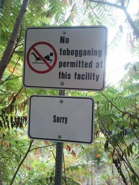 funny-pictures-447