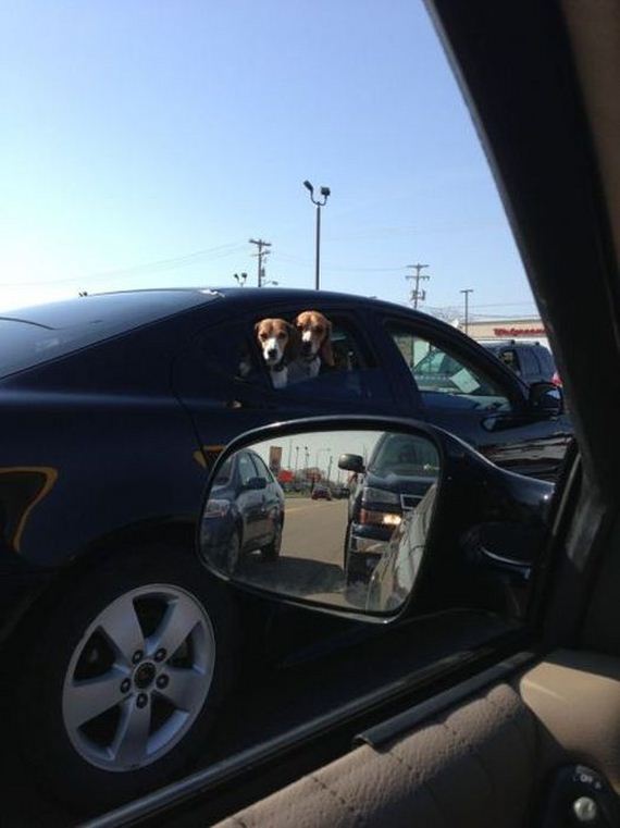 funny-pictures-447
