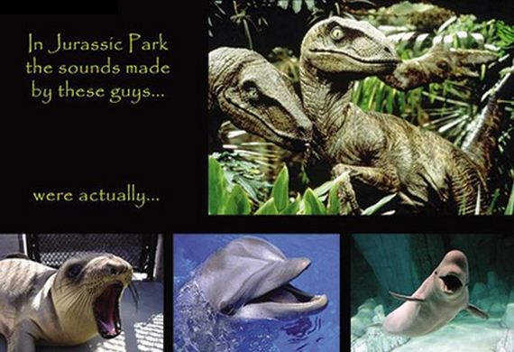 funny-pictures-447