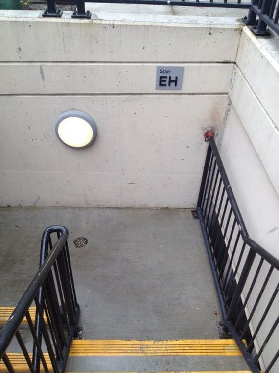 funny-pictures-447