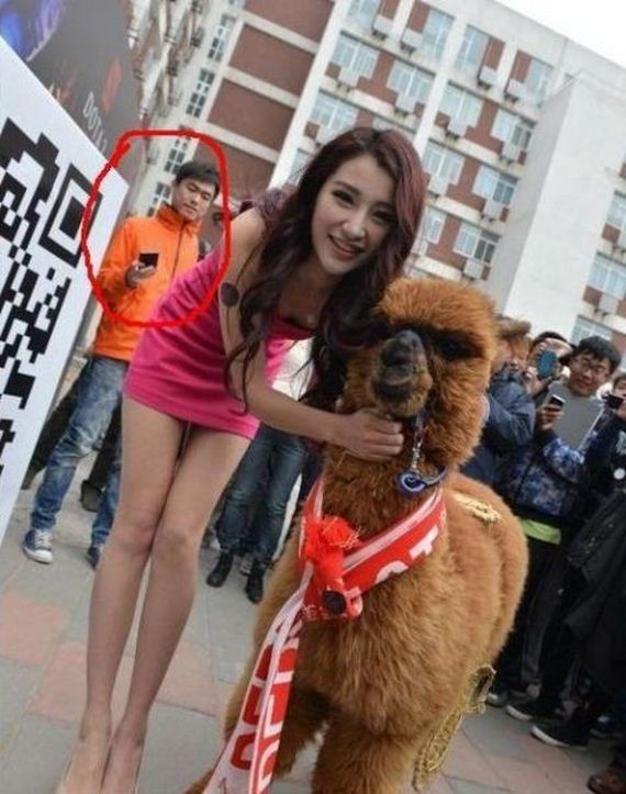 funny-pictures-447