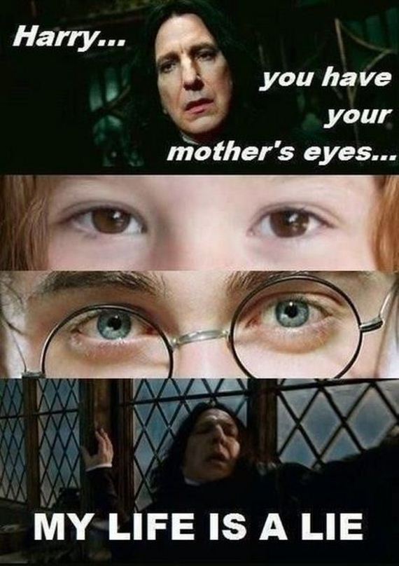 funny-pictures-451