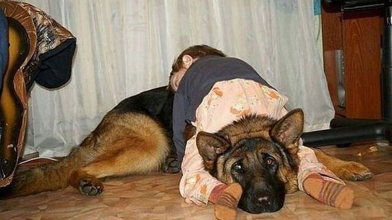 funny-pictures-453