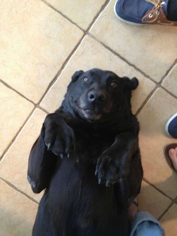 funny-pictures-453