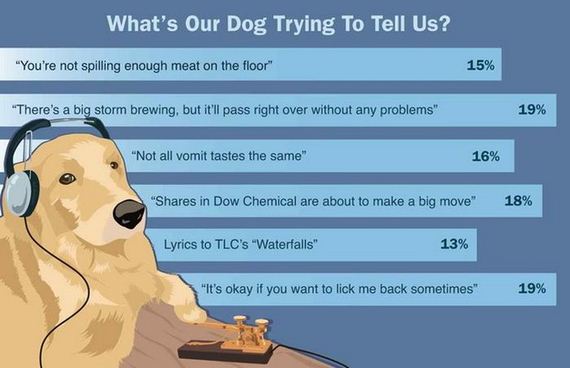 funny-pictures-453