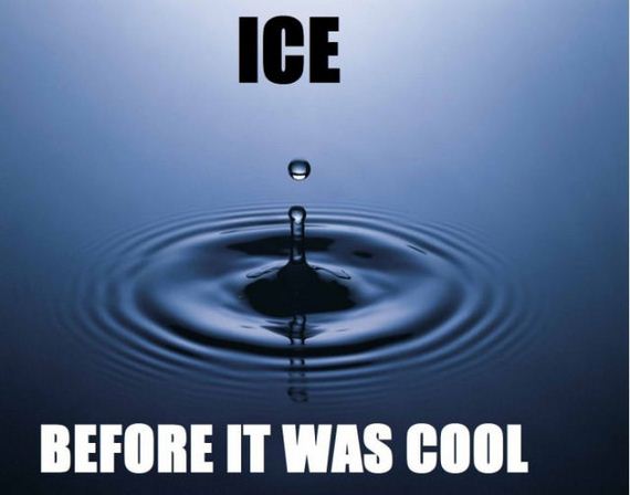 funny-pictures-454