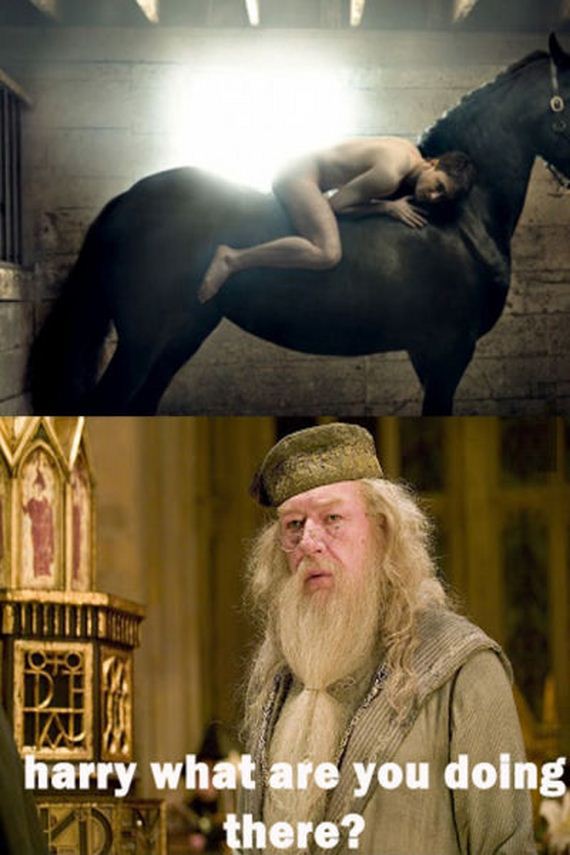 funny-pictures-454
